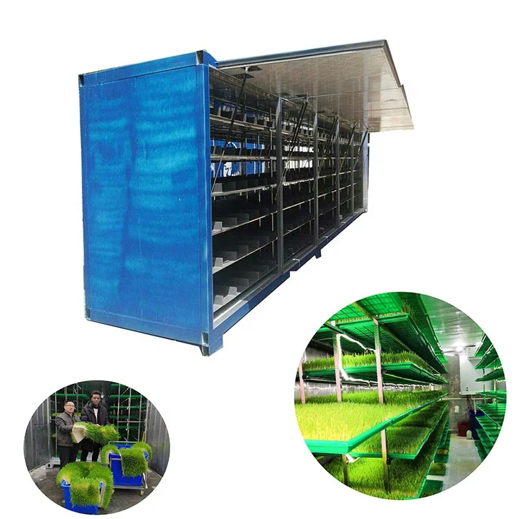 Australia Hot Sale Hydroponic Fodder System For Cattle Green Fodder Sprout System Container Type Hydroponic Green Fodder Sprouti