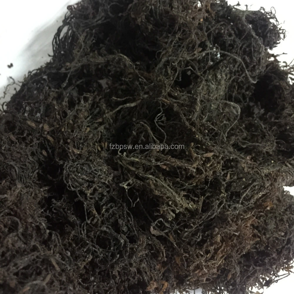 Bulk Package of Dried Sargassum Powder Seaweed Powder Feed Grade