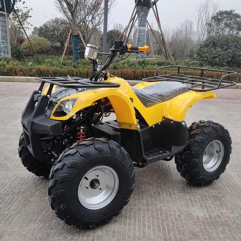 High quality 500/800/1000W electric mini kids ATV quad bike with CE