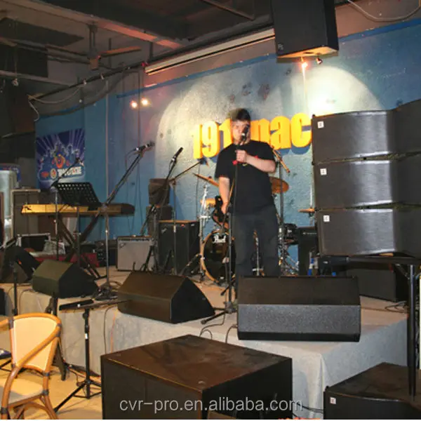 Professional audio speaker pro sound system+musical instruments