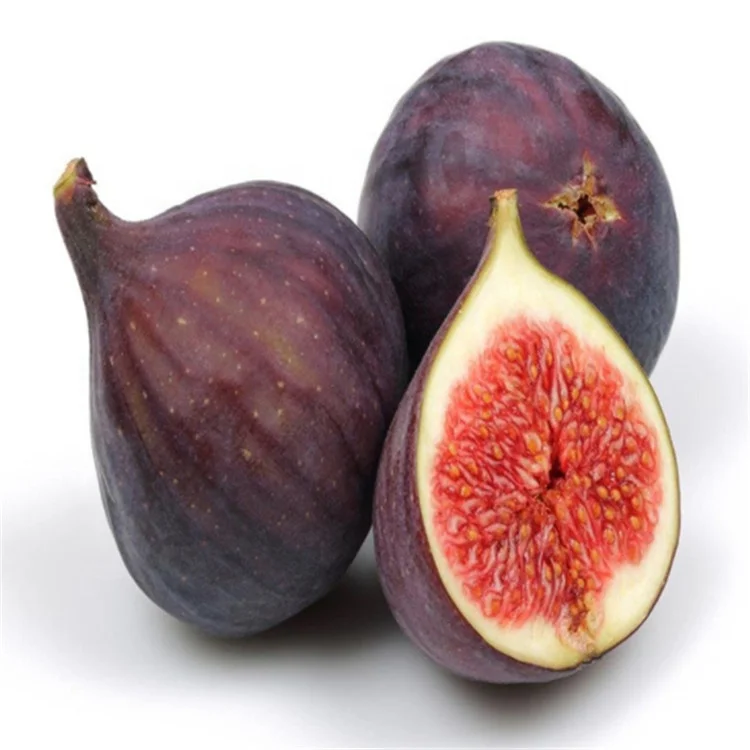 
Высококачественная резка стебля фруктов из фигового дерева для посадки 