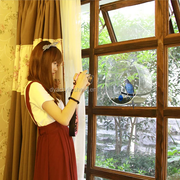 10000 layer chickens farm bird cage for sale acrylic window bird feeder