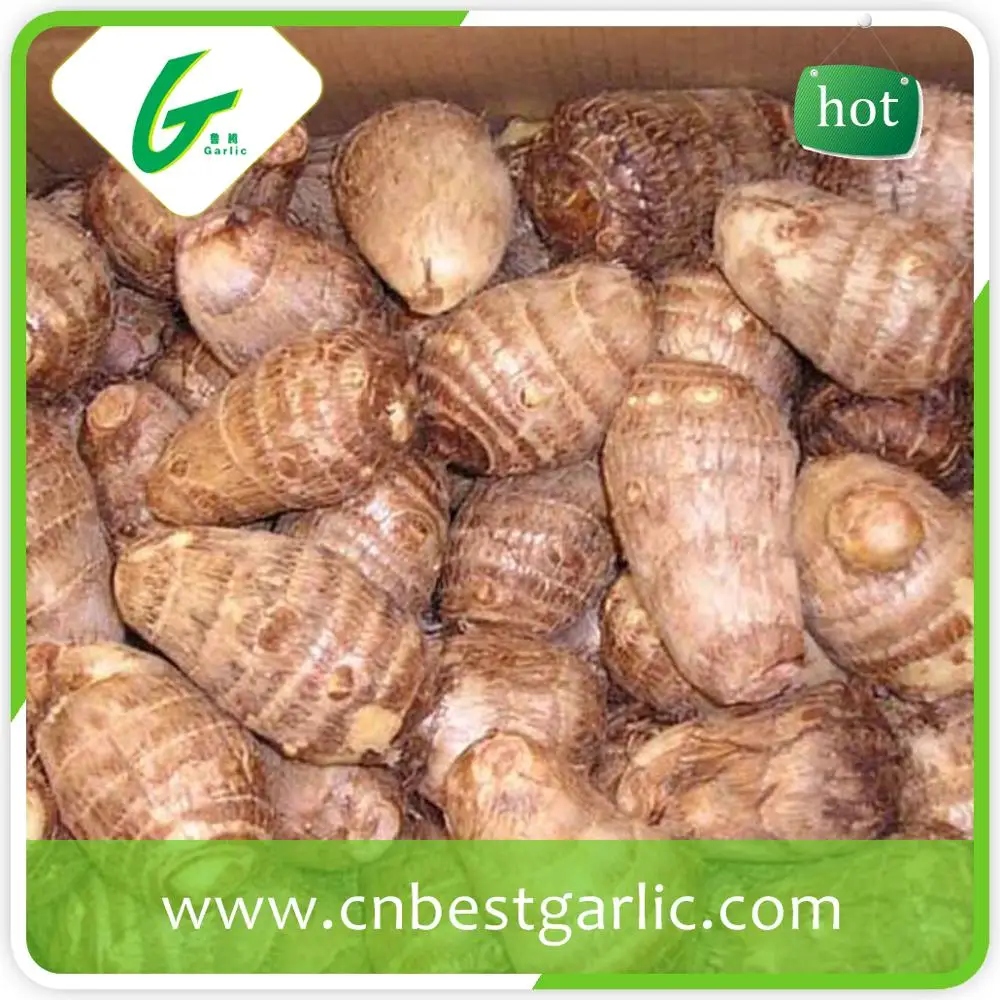 Новый урожай дешевые таро для продажи