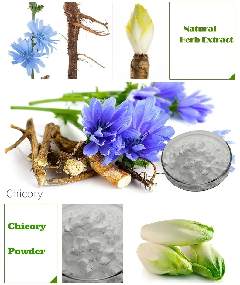 HONGDA Supply Organic Chicory Extract Inulin Powder Inulin