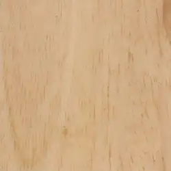 Engelmann spruce 41inch Matte finish Acoustic Guitar