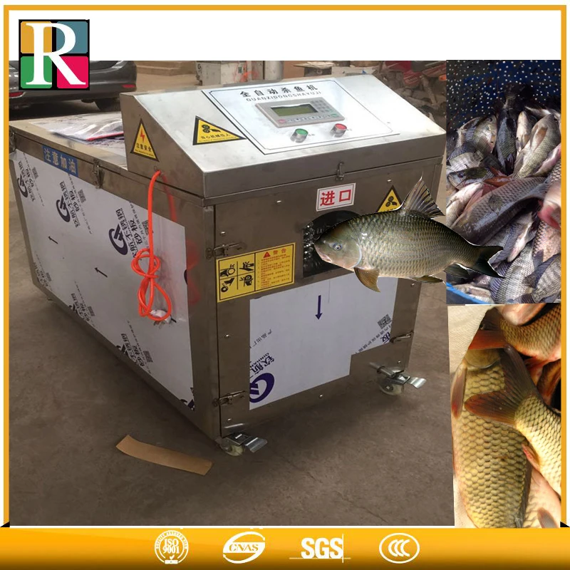 factory sale stainless steel automatic fish cleaning machine,fish killing machine