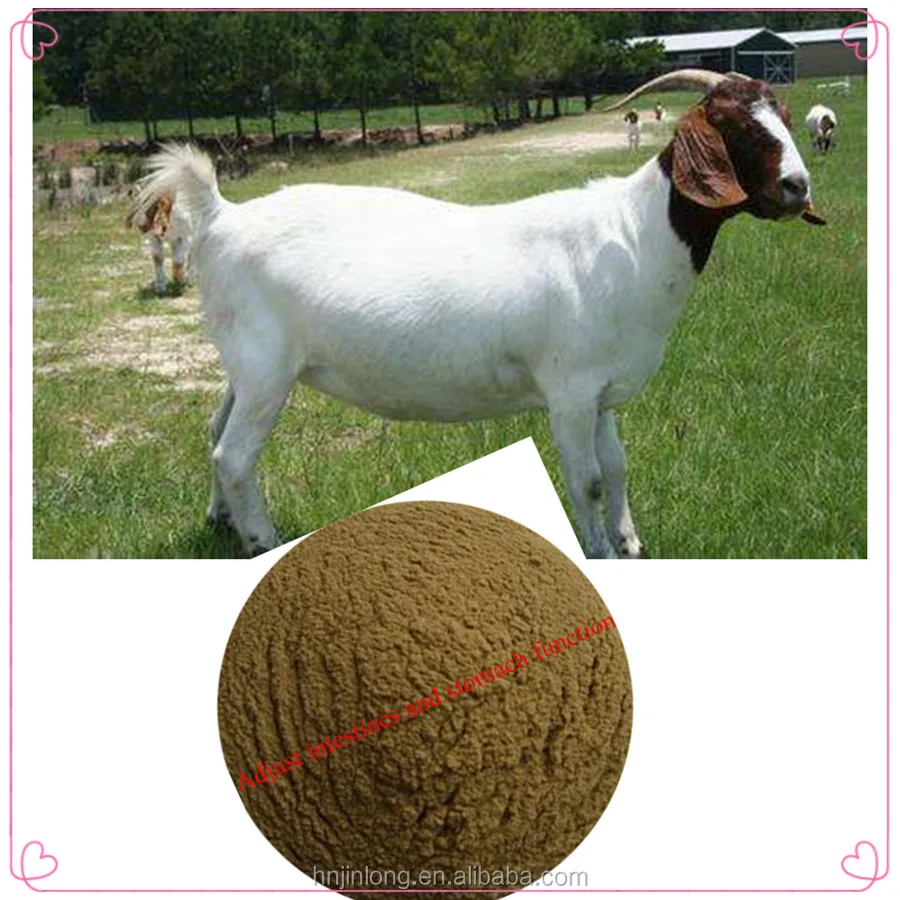 
Buy Aspergillus Oryzae And Trichoderma Viride 