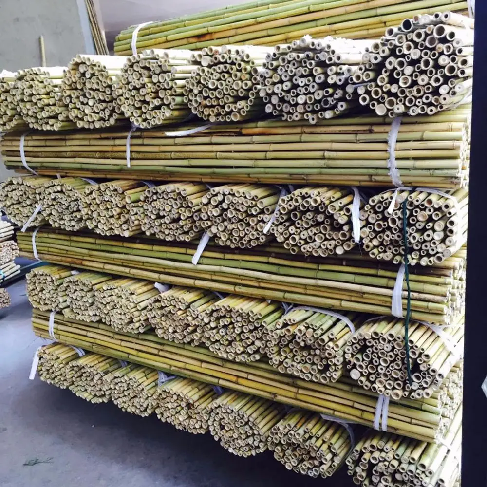 wholesale natural straight moso bamboo poles with decorative plants growing and construction