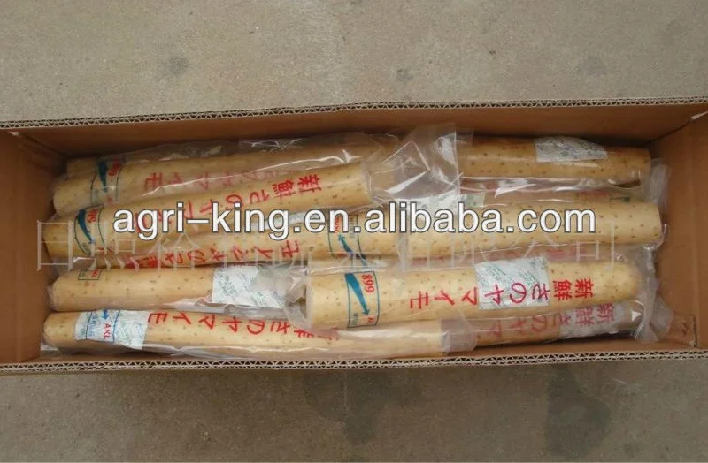 Свежий китайский ямс для продажи