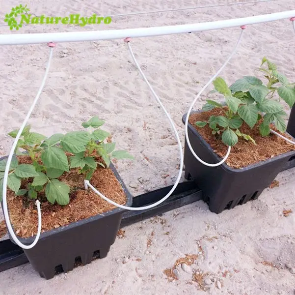 Оптовая продажа 11 литров гидропоники завод горшок Голландский Ведро системы