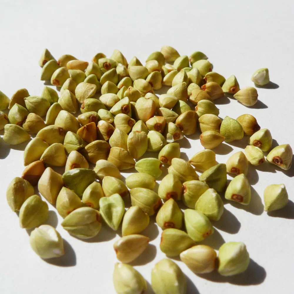 china buckwheat hull kernel for sale good quality