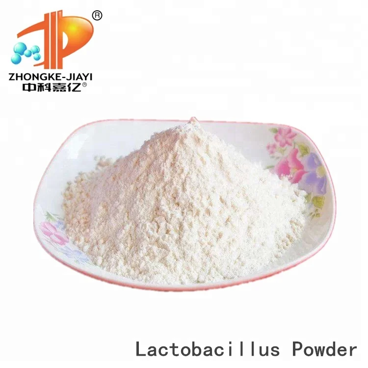 Food Supplement Probiotics Free Sample Bifidobacterium Bifidum