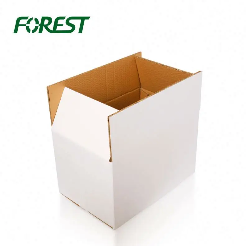 F019 Forest packing china top factory wholesale market online cardboard 24 bottle beer box