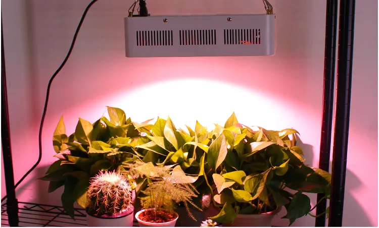 High Power 400W Full Spectrum COB Grow Tent Suitable All Plants Growth LED Grow Lights