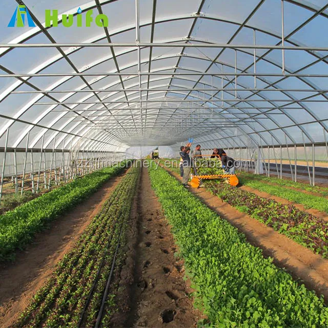 Plastic Covering Single Span Greenhouse