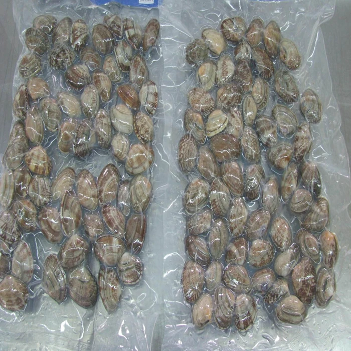 
Frozen cooked baby clam in shell 
