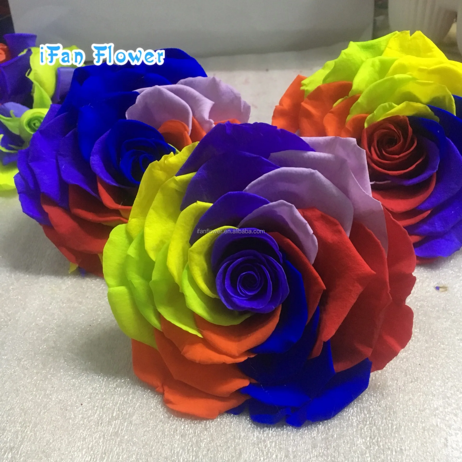 Высококачественные свежие консервированные Цветочные гвоздики для Дня матери