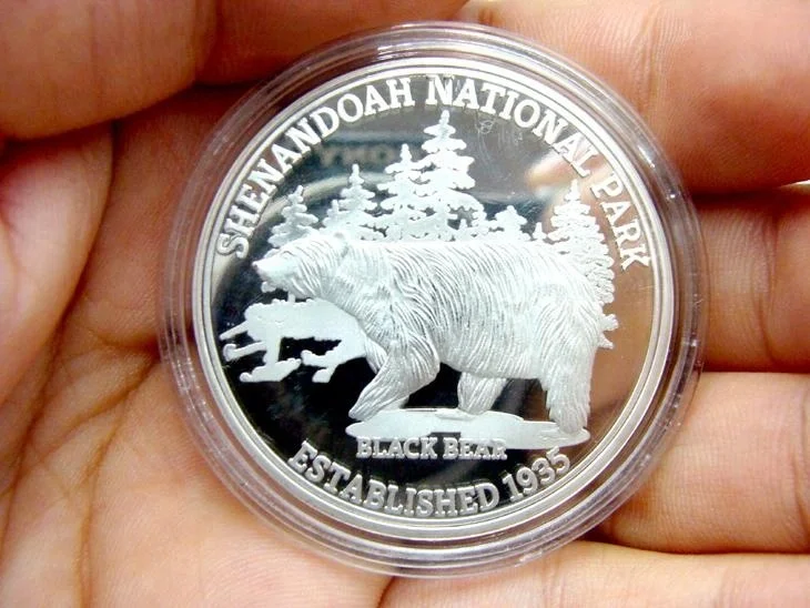 Customer design 1 oz engraved Ag999 fine silver coins