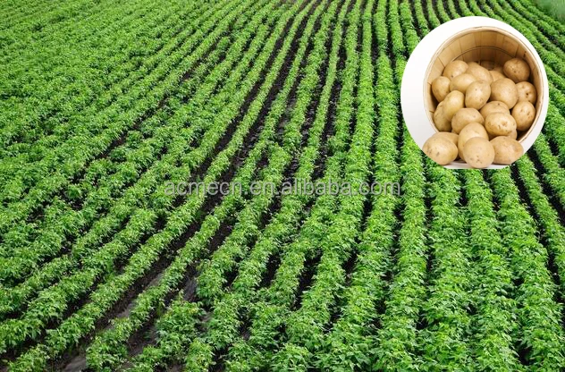 Cheap price bean seeder portable hand corn planter machine for sale