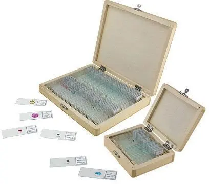 
Biology human pathology teaching diagnosis microscope slides used water park slides for college students learning 