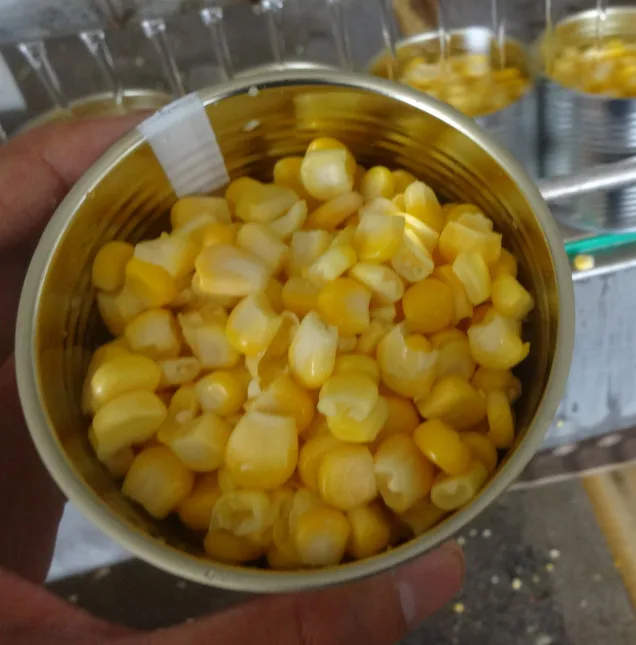 fresh canned sweet corn kernel 340g