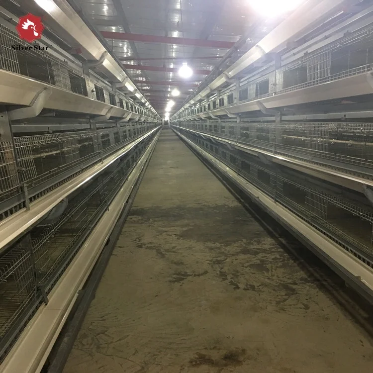 Chicken cage automatic broiler farm equipment /farm cage for day old growing broiler