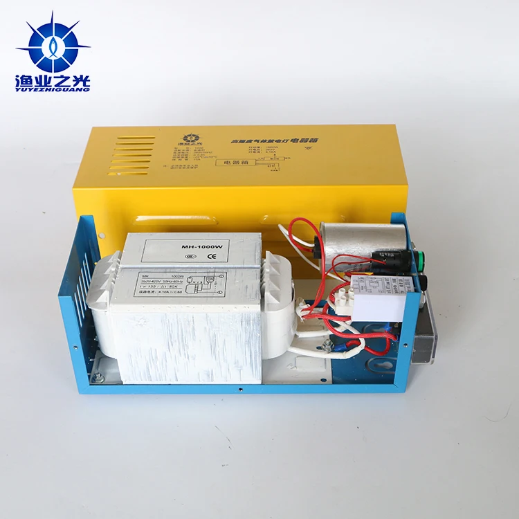 Metal halide fishing light ballast 1000w,two metal halide lamps for fishing use