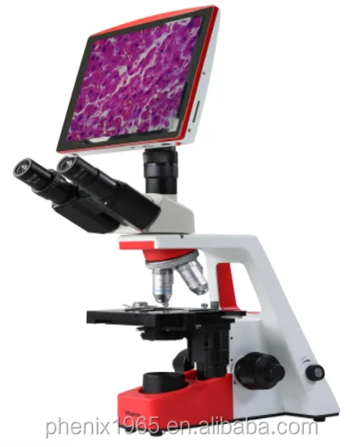 Phenix supplier good clarity 40X-1600X trinocular microscope with camera