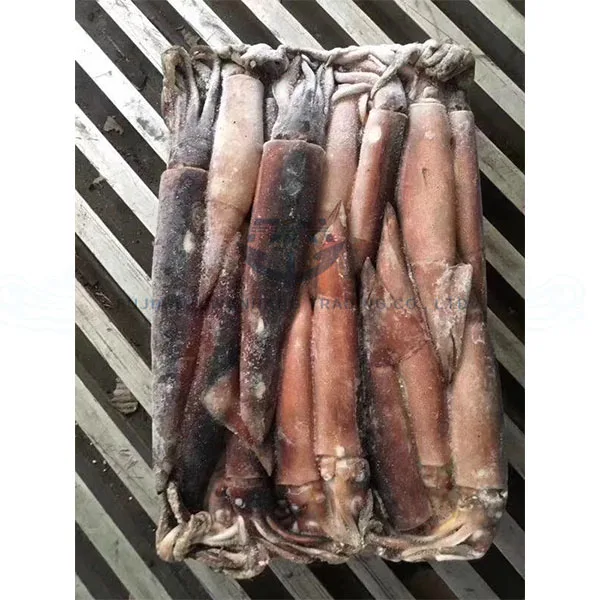 High Quality Frozen Whole Round Todarodes Squid for sale