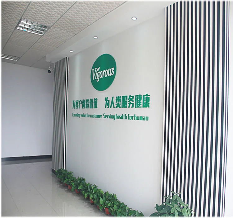 Yerba Mate Powder/Ilex paraguariensis P.E./Paraguay tea Extract