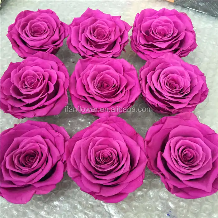 Unique style excellent quality freeze dried roses preserved rose flower