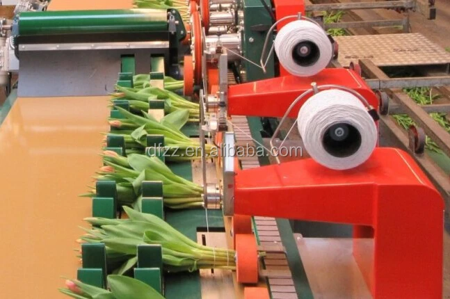 Norwayho elastic twine for flower binding