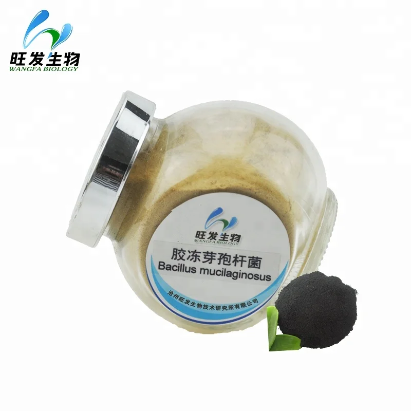 
Soil Conditioner bacillus megaterium, bacillus mucilaginosus 