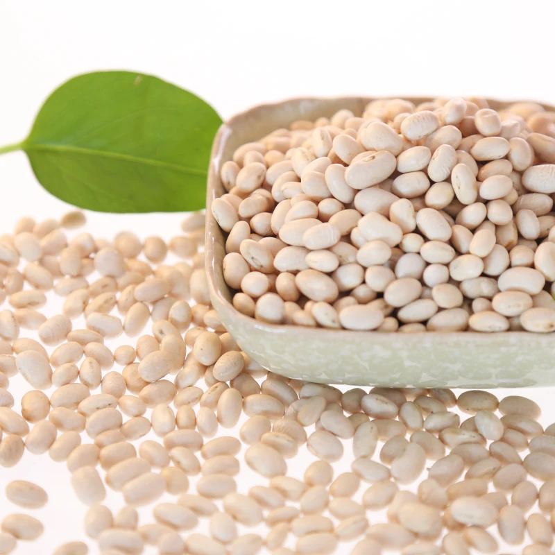 Военно-морской флот фасоли