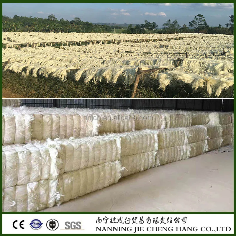 UG Grade / A Grade Sisal Fiber For High Quality