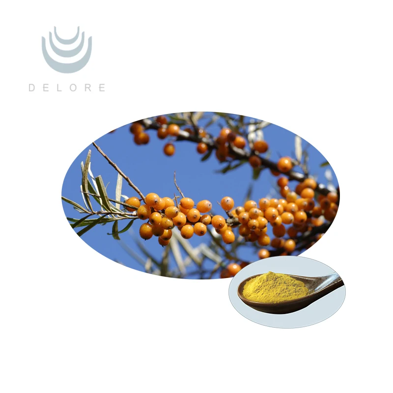 Plant extracts Hippophae rhamnoides and seabuckthorn fruit oil from China supplier