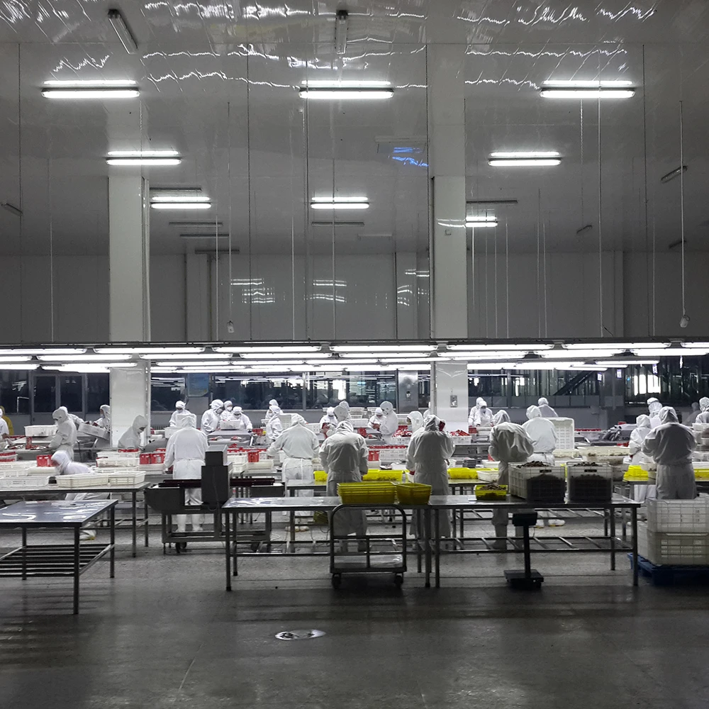 2022years 100g peeled chestnut