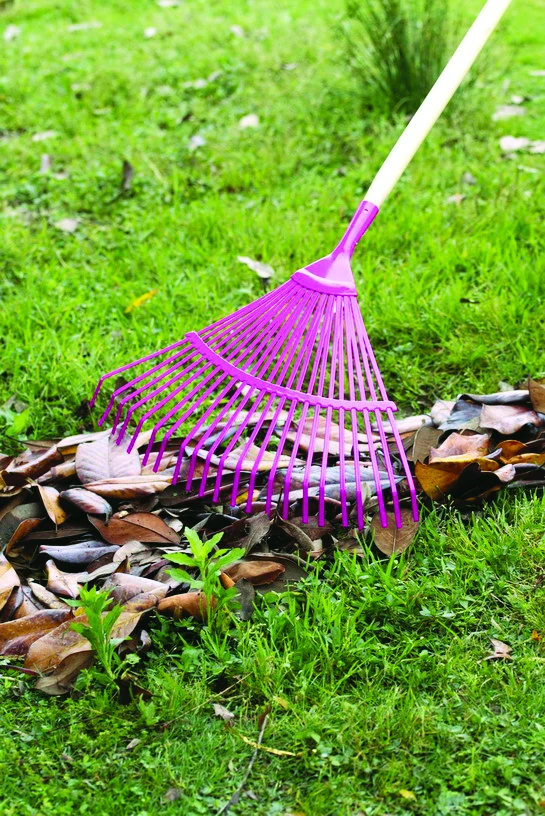 
22T Wooden Handle and Steel Handle Metal Extending Garden Leaf Leaves Rake for Grass Weed Lawn 