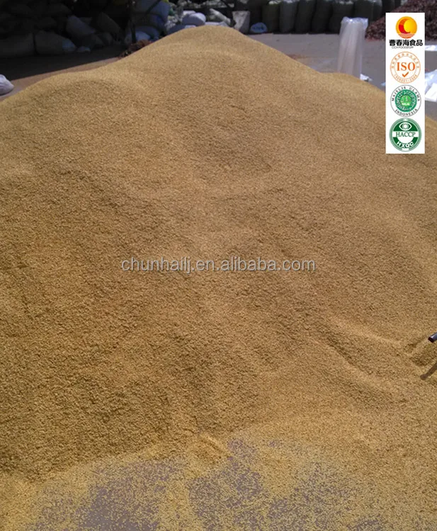 Exported Top Quality Hybrid Chilli Seeds for Pakistan Hot Chilli Seed Red Chili Seeds with Lowest Price