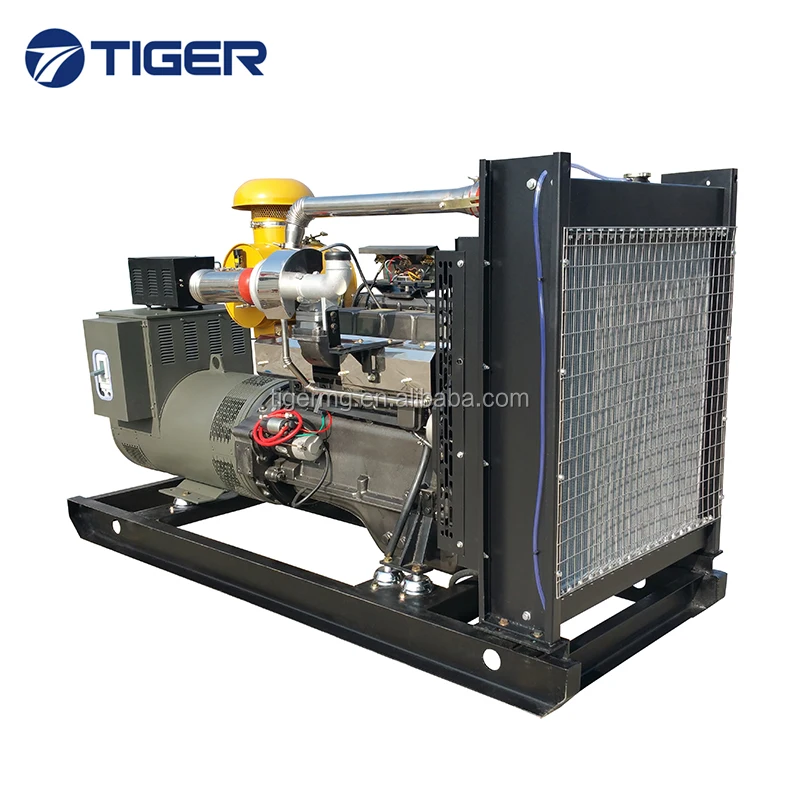 10kw to 1000kw good price durable thunder diesel generator