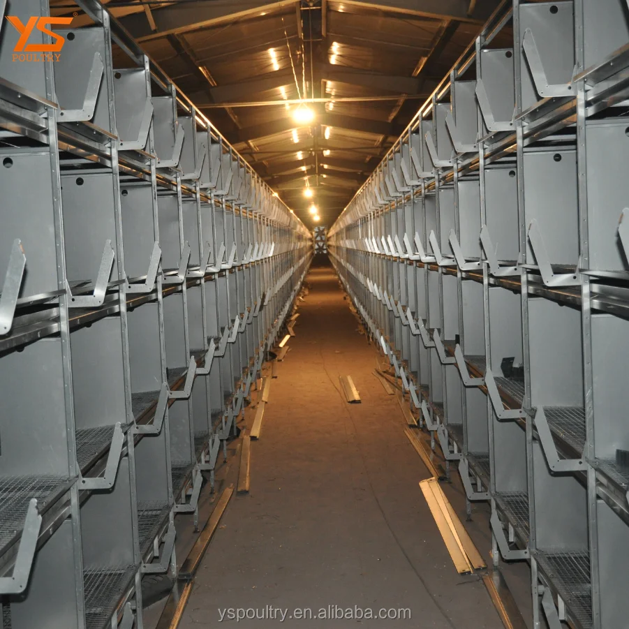 Latest Design H Frame Pullet Metal Chicken Cage
