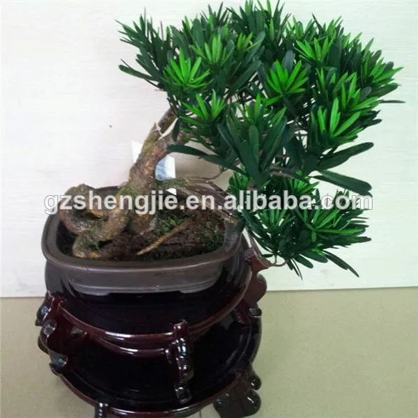 искусственная сосна бонсай, yacca древесных растений бонсай