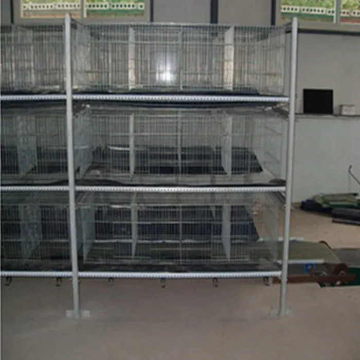 New Rabbit cages / rabbit farming equipment