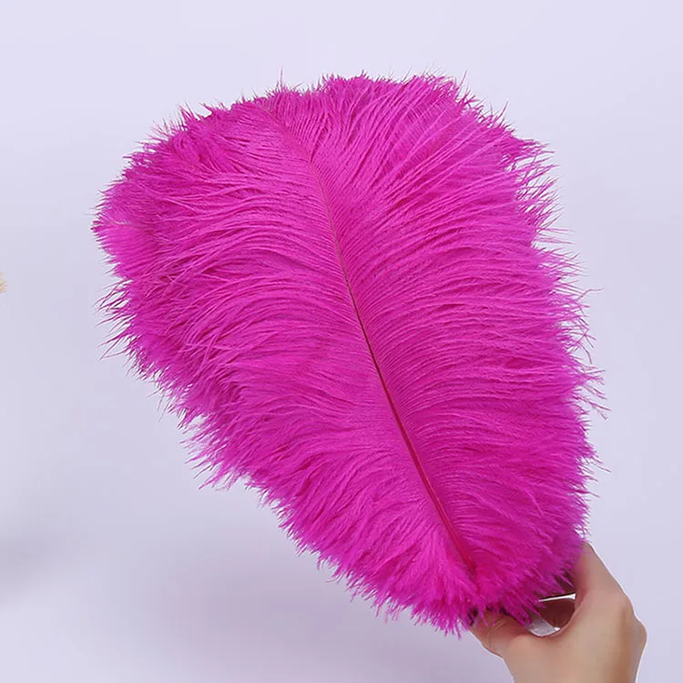 South Africa Factory Natural Cheap Color Ostrich Feather Wholesale
