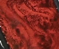 Чехол на руль автомобиля из ПВХ известного дизайна