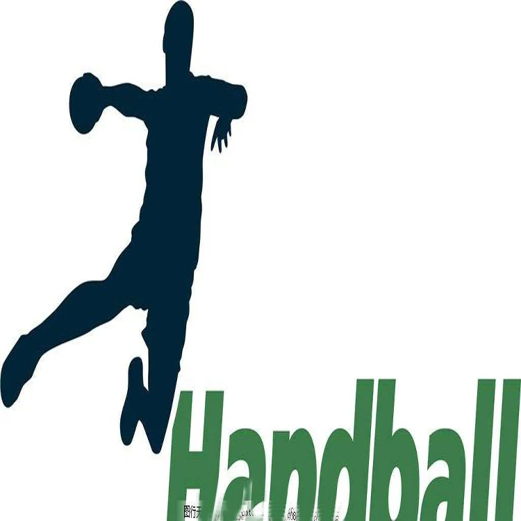
wholesale PET/PE handball goal net hand ballsport goal net 
