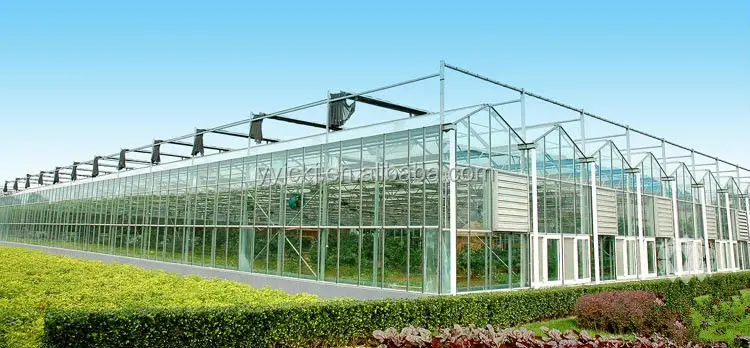 УФ-макролон 20 мм, прозрачный поликарбонатный лист для теплиц