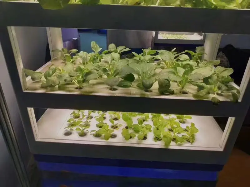 Indoor Aquaponic Hydroponic Growing Systems Vegetables Tower Home Garden