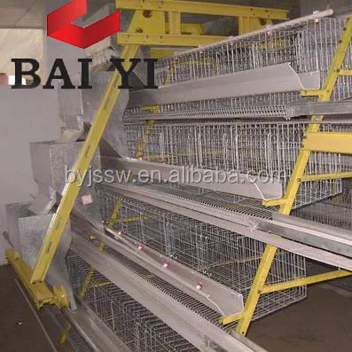  Оборудование для сбора кур