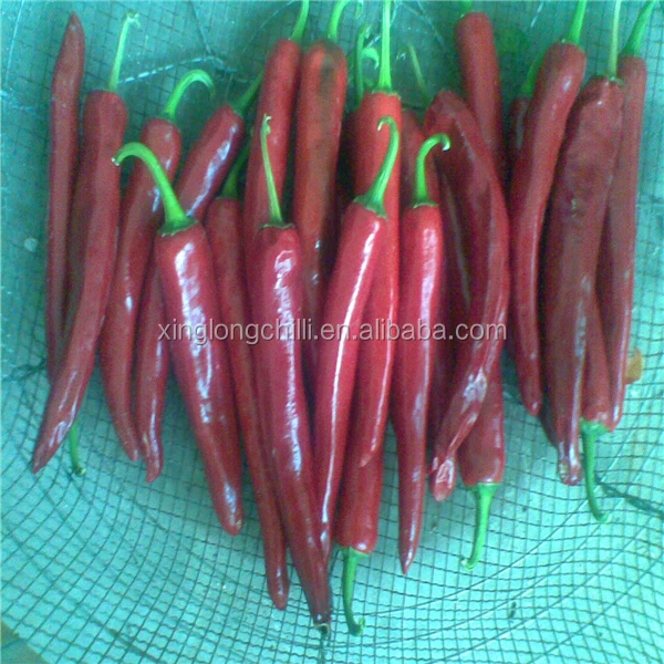 Export to Hungarian the Spicy paprika Jinta chili pepper pods price